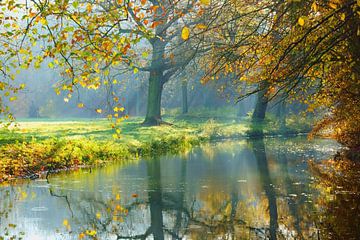 Herbst im Elswout Estate von Michel van Kooten