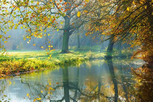 Autumn on Elswout Estate by Michel van Kooten