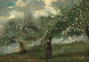 Mädchen pflückt Apfelblüten, Winslow Homer