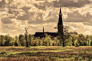Amsterdams Bos Amsterdam Netherlands Old