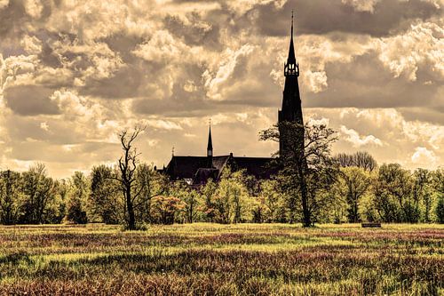 Amsterdams Bos Amsterdam Nederland Oud