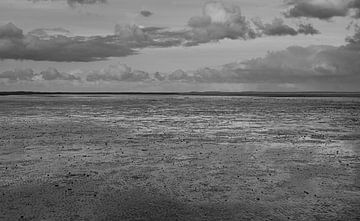De wadden in zwart wit. van Jose Lok