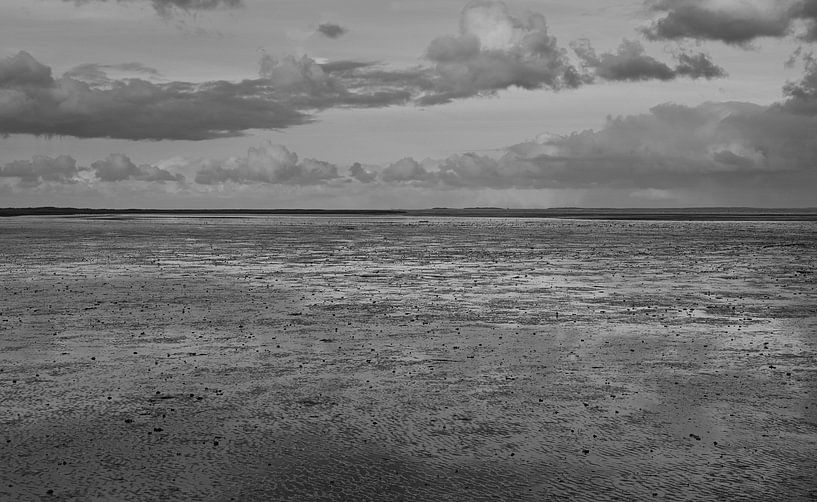 De wadden in zwart wit. van Jose Lok