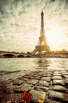 Paris Eiffel Tower  by davis davis