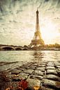 Paris Eiffel Tower  by davis davis thumbnail
