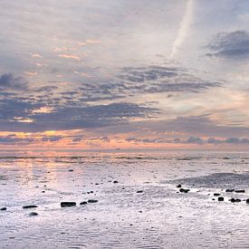 De Waddenzee bij Vatrop 3 van Rob Liefveld