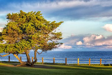 Seaside Park sur Joseph S Giacalone Photography