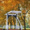 Herfstbrug in Gouden Gloed van Rick Goede