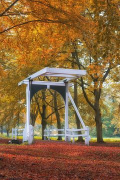 Autumn bridge in Golden Glow