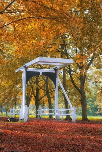 Autumn bridge in Golden Glow