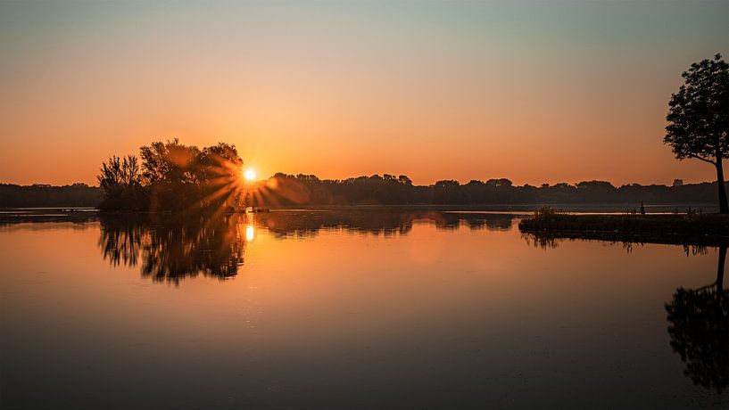 The early morning sun by Jelte Lagendijk