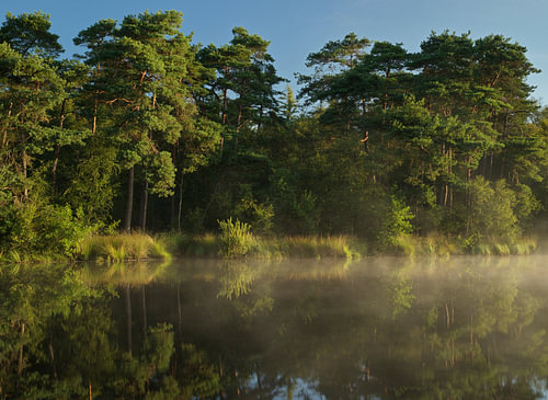 Lever du soleil à Brandeveen - Holtingerveld - Drenthe (Pays-Bas)