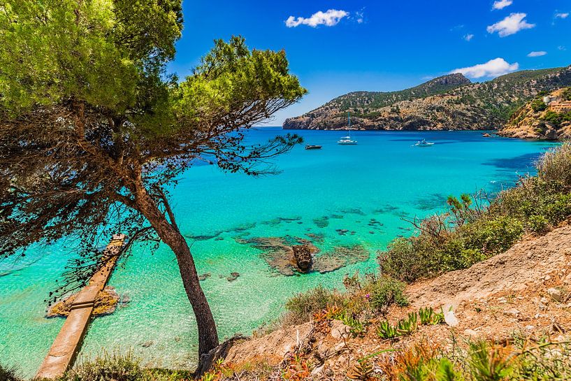 Camp de Mar bay, idyllic seaside on Majorca, Spain by Alex Winter