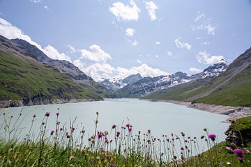 Stuwmeer bergen Zwitserland Lac des Dix van Alida Stam-Honders