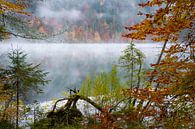 Herfst aan het meer van Martin Wasilewski thumbnail
