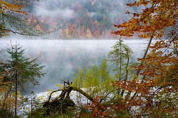 Herfst aan het meer van Martin Wasilewski