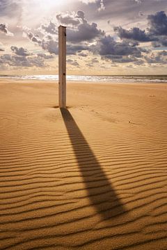 Shower with a view sur Martin Podt