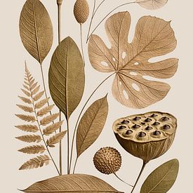 Esthétique des fleurs séchées sur un doux beige cachemire sur Max Steinwald