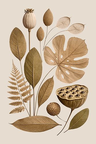 Botanische gedroogde bloemen kunst in beige