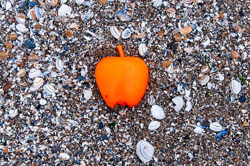 Apple on the Beach - Schelpen Pt I