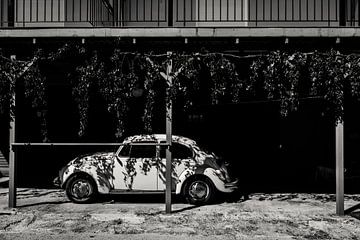 Travel photography Greece - Zakynthos - Old Beetle in picturesque setting - black and white photogra by Irmgard Averesch