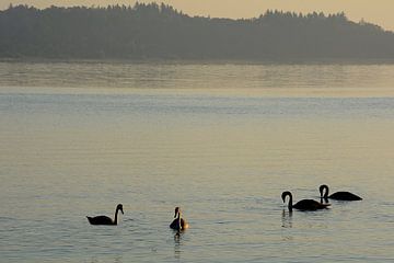 CHIEMSEE 1 von Miroslav Ptacek