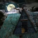 My Friend the Moon by Harald Fischer thumbnail