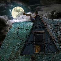 My Friend the Moon - H. Fischer