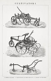 Gravure ancienne Cultivateur I sur Studio Wunderkammer