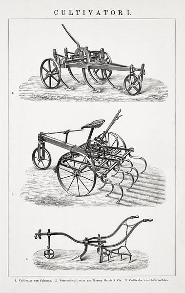 Old engraving Cultivator I by Studio Wunderkammer