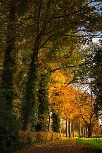 Herfstpad in Boekelo van Freddy Hoevers