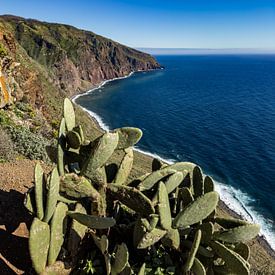 Ponta do Pargo von Dirk Rüter