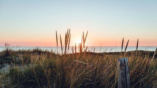 Sun through the dunes