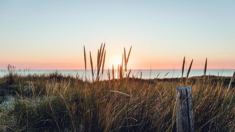 Sun through the dunes by Tristan van Inge