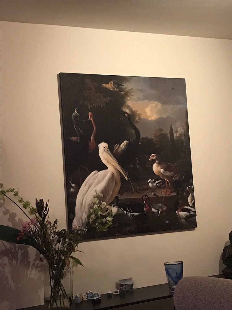 Die schwimmende Feder - Melchior de Hondecoeter 