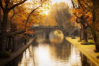 Autumn in Utrecht, De Geertebrug over the (G)Oudegracht in Utrecht in the autumn light.