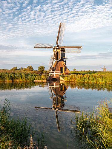 Munikkenmolen aan de rand van Leiderdorp
