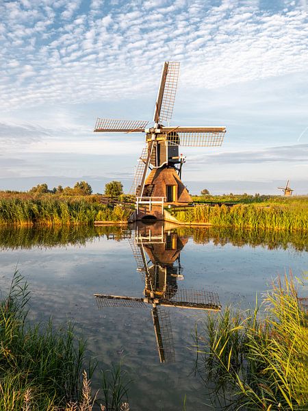 Munik-Mühle am Stadtrand von Leiderdorp von Kees van den Burg
