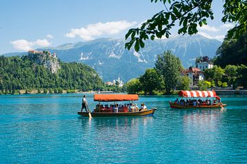 Boote auf dem See Bled in Slowenien von Lifelicious
