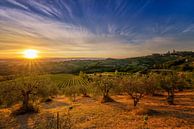 Sunrise over Tuscany Hills van Sander Peters thumbnail