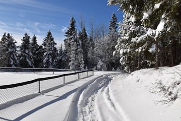 The recreation ground in winter by Claude Laprise