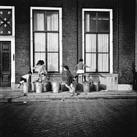 Dustbins in Dordrecht