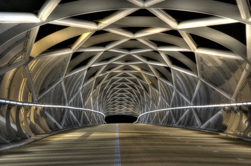 fietsbrug barendrecht by bjorn van geijn
