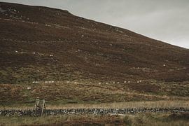 Treppe über alter Mauer von Paulien van der Werf