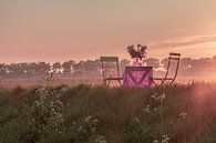 Garden Chair traveling in Zeeland V van Irene van de Wege thumbnail