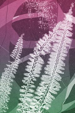 Trois fougères blanches.  Art géométrique botanique abstrait moderne en rose et vert. sur Dina Dankers