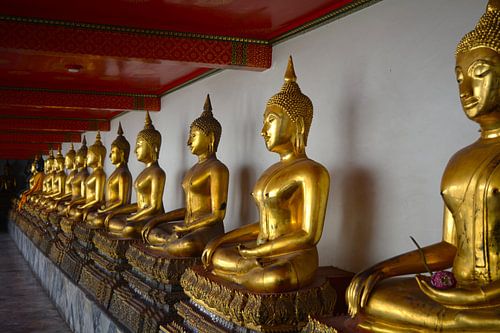 Eine stattliche Reihe von Buddha-Statuen im Wat Pho