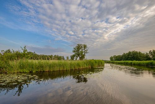 Het landschap van natuurgebied Weerribben-Wieden 