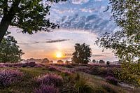 De dag begint met prachtige paarse heide en een mooie lucht.