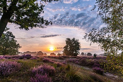 The day begins with beautiful purple heather and a beautiful sky.